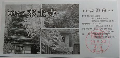 松戸散歩　あじさい寺として有名な本土寺に紫陽花を見に行く