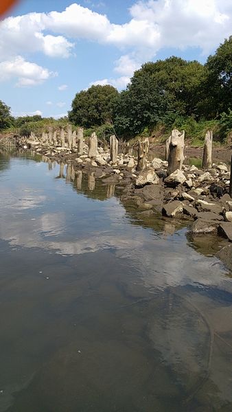 江戸川　引き潮