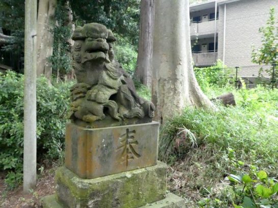 安房須神社（松戸市）