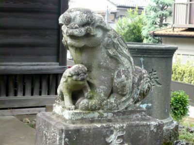 熊野神社（松戸市中和倉）