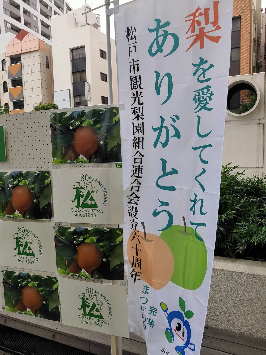 松戸市観光梨園組合連合会60周年事業「梨を愛してくれてありがとう」9月9日開催