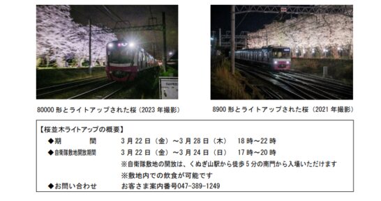 3月22日（金）から 1 週間新京成線元山駅-くぬぎ山駅の桜並木をライトアップ