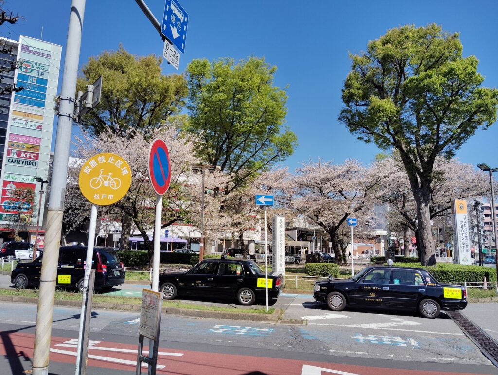 新京成　八柱駅・武蔵野線　新八柱駅前の桜