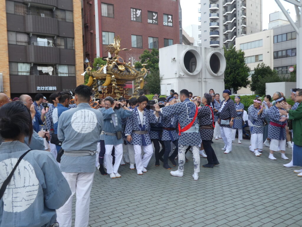 松戸神社　御祭禮　神輿渡御　キテミテマツド広場