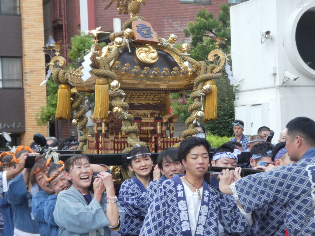 松戸神社　御祭禮　神輿渡御　キテミテマツド広場