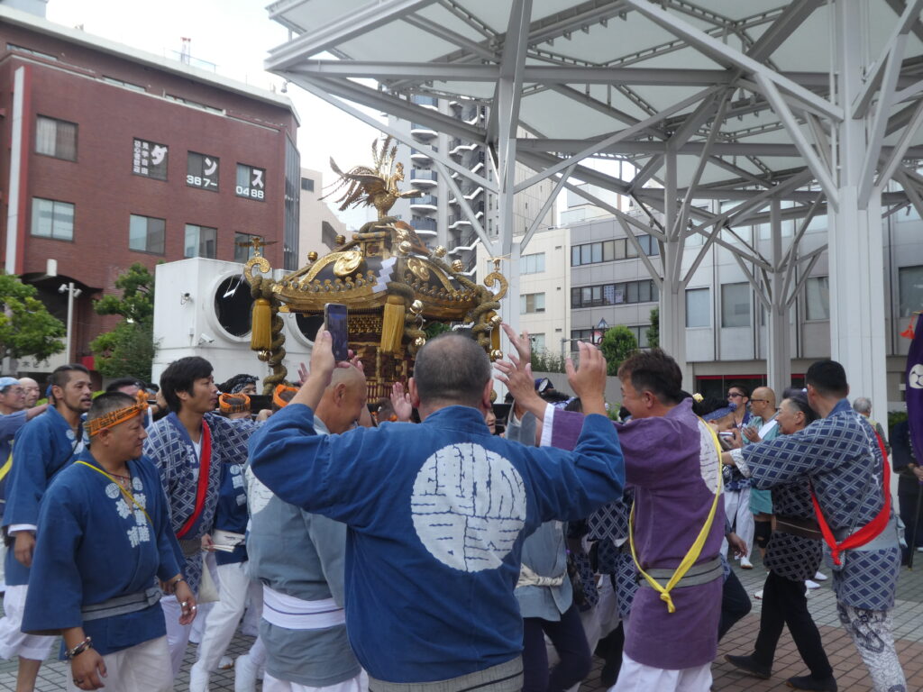 松戸神社　御祭禮　神輿渡御　キテミテマツド広場