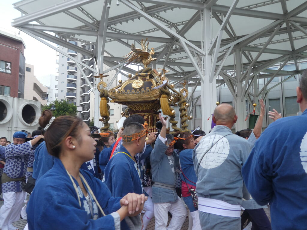 松戸神社　御祭禮　神輿渡御　キテミテマツド広場