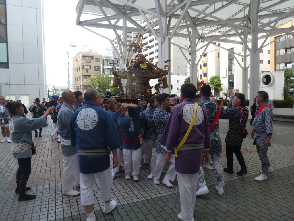 松戸神社　御祭禮　神輿渡御　キテミテマツド広場