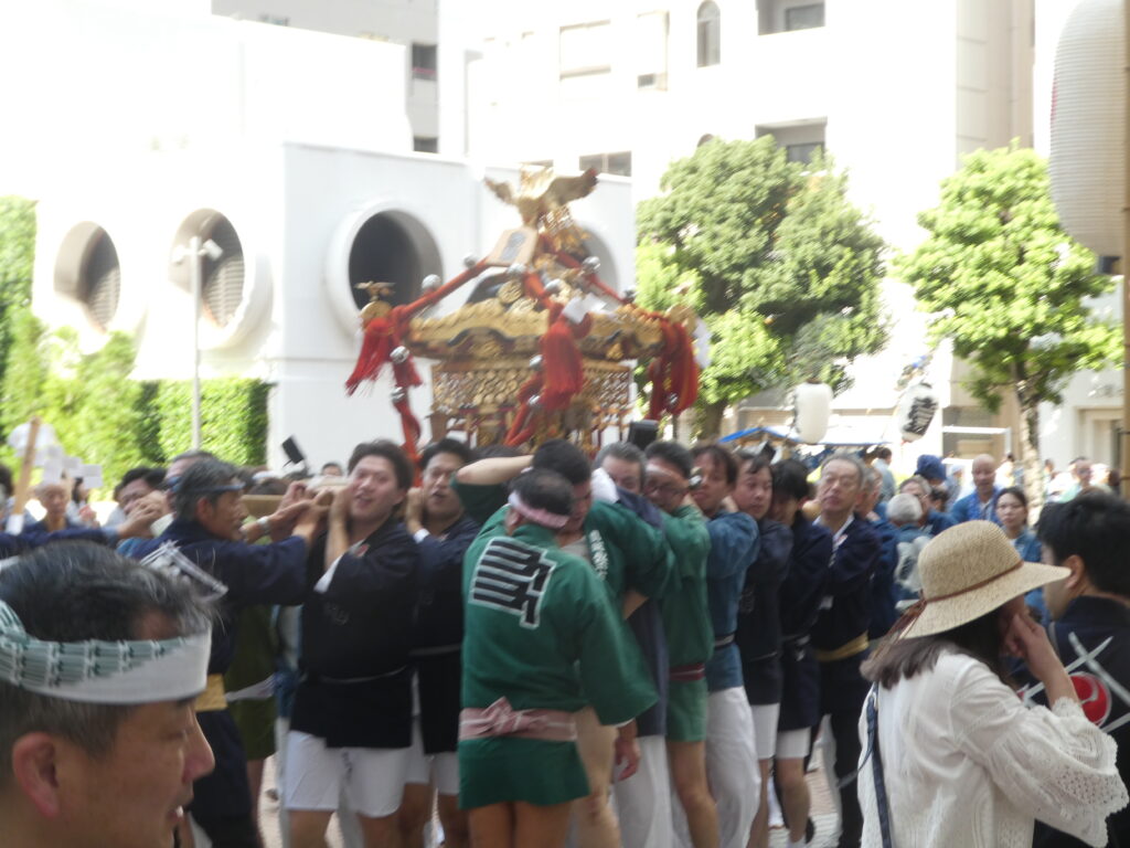 松戸神社　御祭禮　神輿渡御　キテミテマツド広場