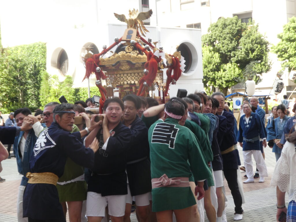 松戸神社　御祭禮　神輿渡御　キテミテマツド広場