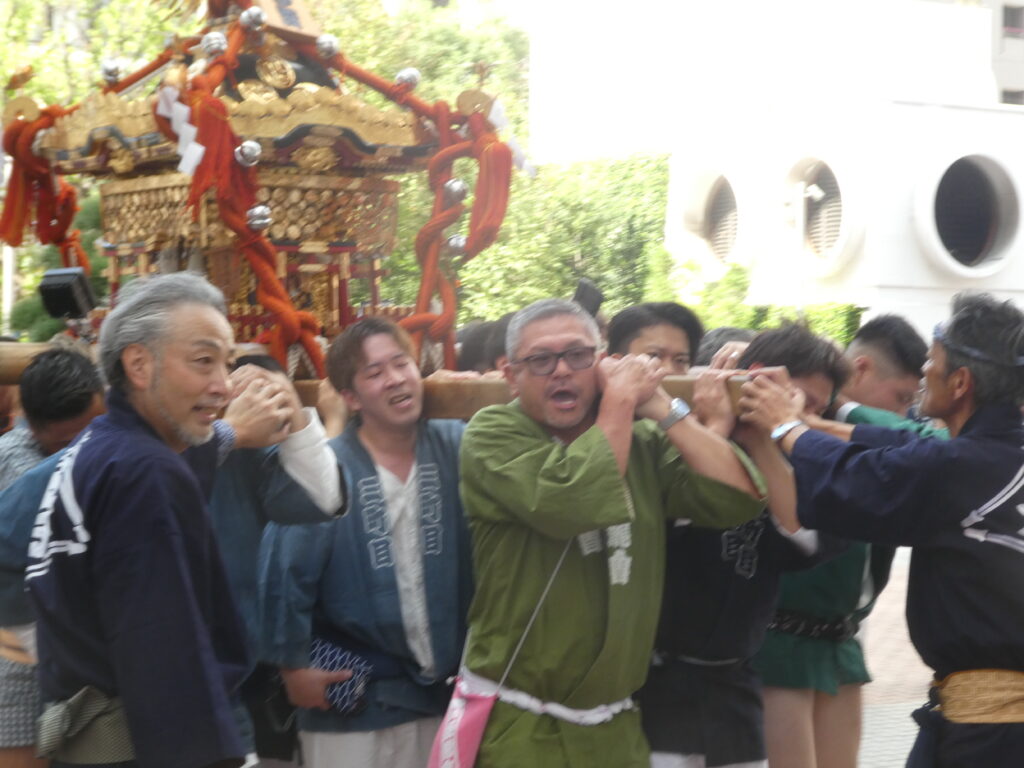 松戸神社　御祭禮　神輿渡御　キテミテマツド広場