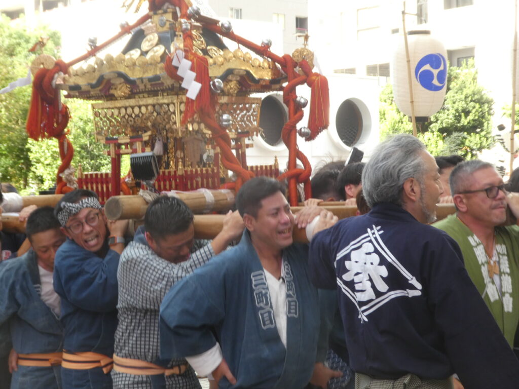 松戸神社　御祭禮　神輿渡御　キテミテマツド広場