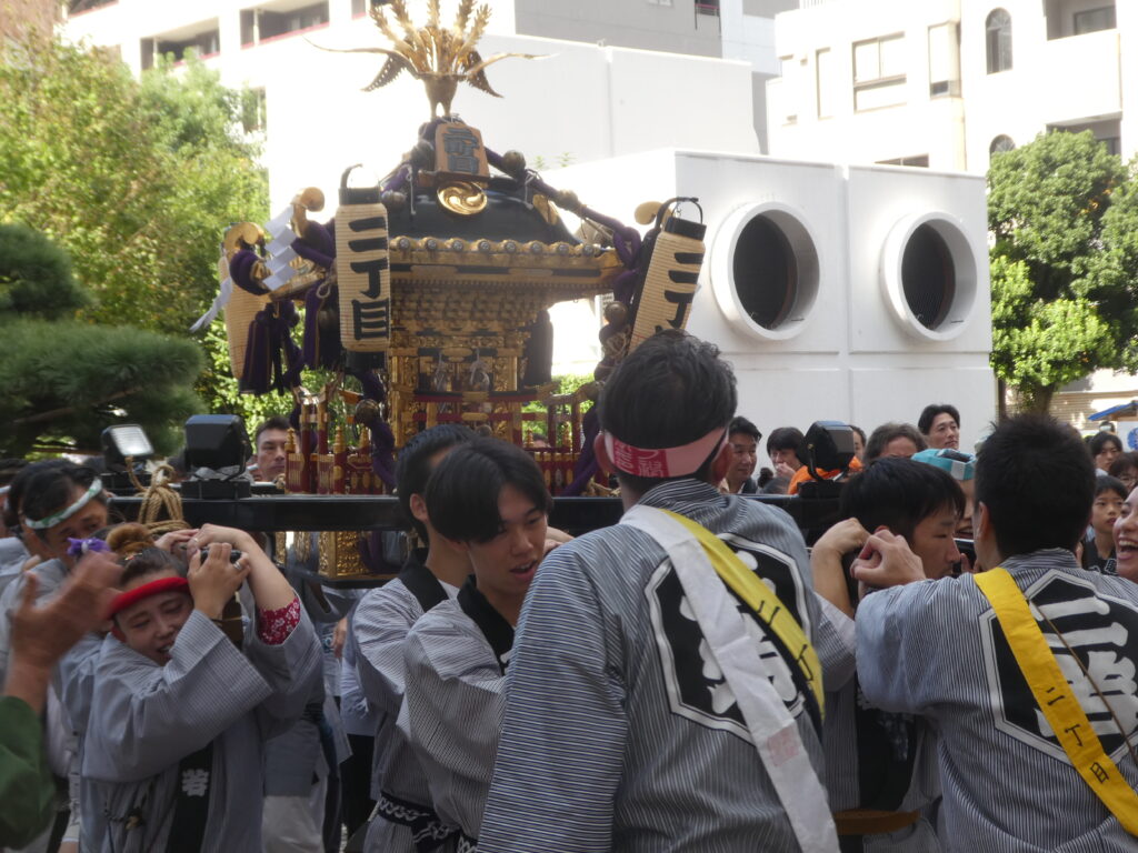 松戸神社　御祭禮　神輿渡御　キテミテマツド広場