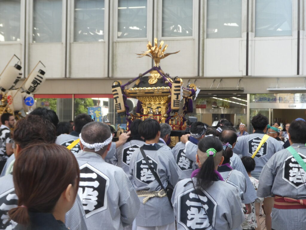 松戸神社　御祭禮　神輿渡御　キテミテマツド広場