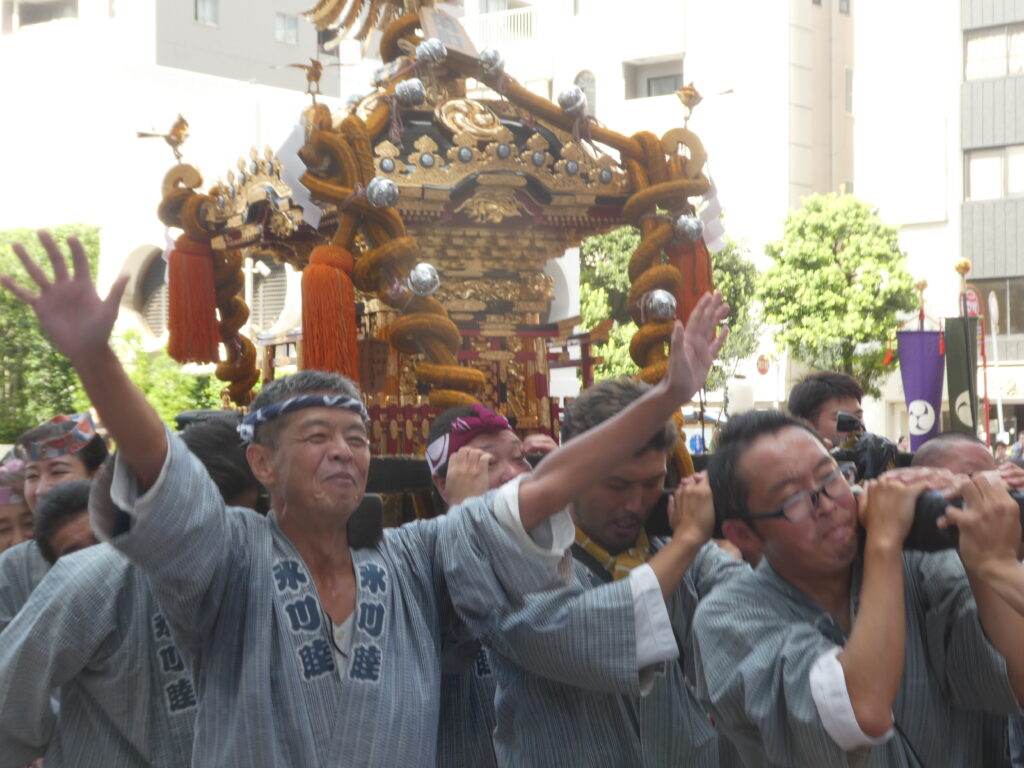 松戸神社　御祭禮　神輿渡御　キテミテマツド広場