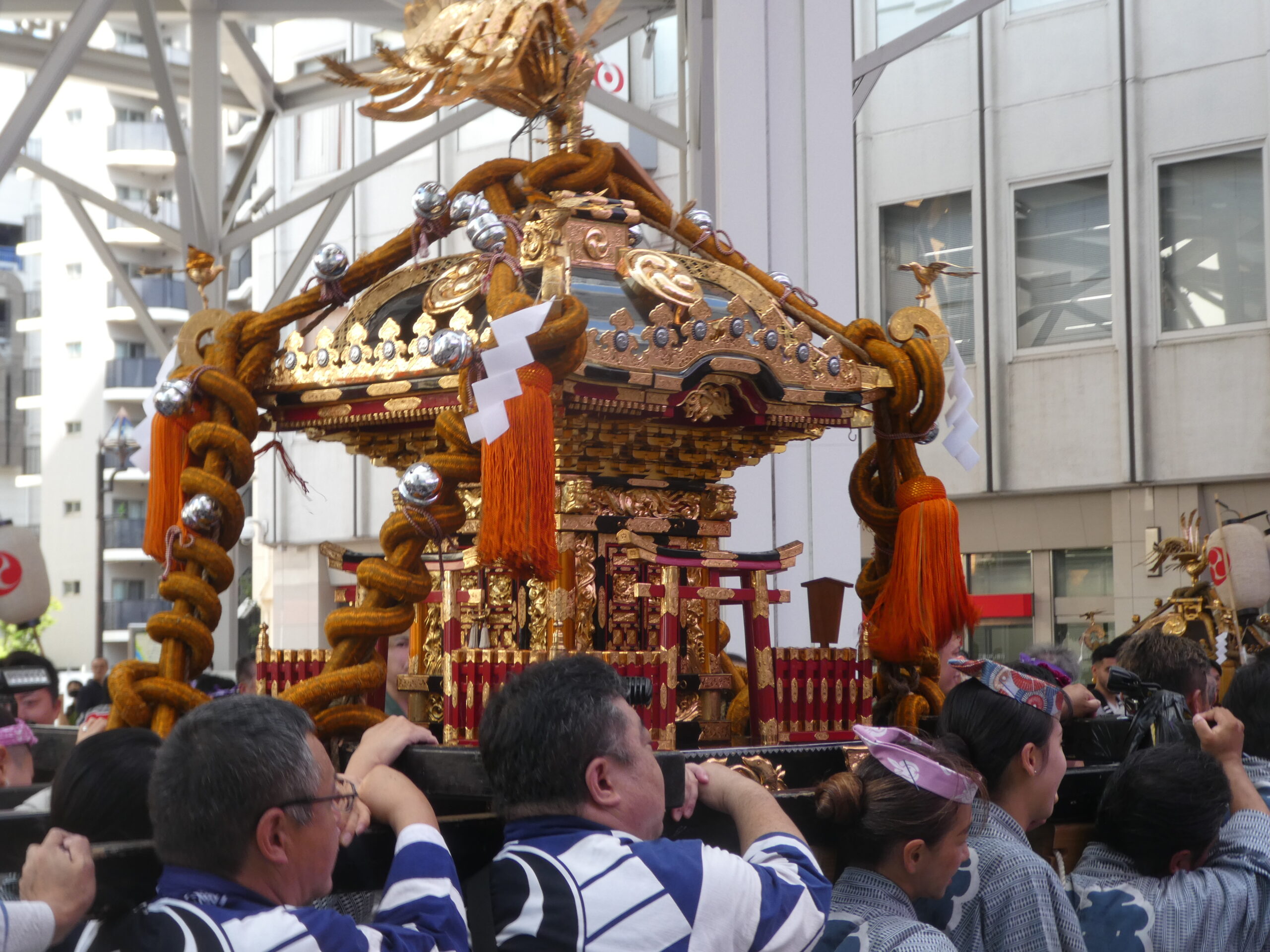 松戸神社　御祭禮　神輿渡御　キテミテマツド広場