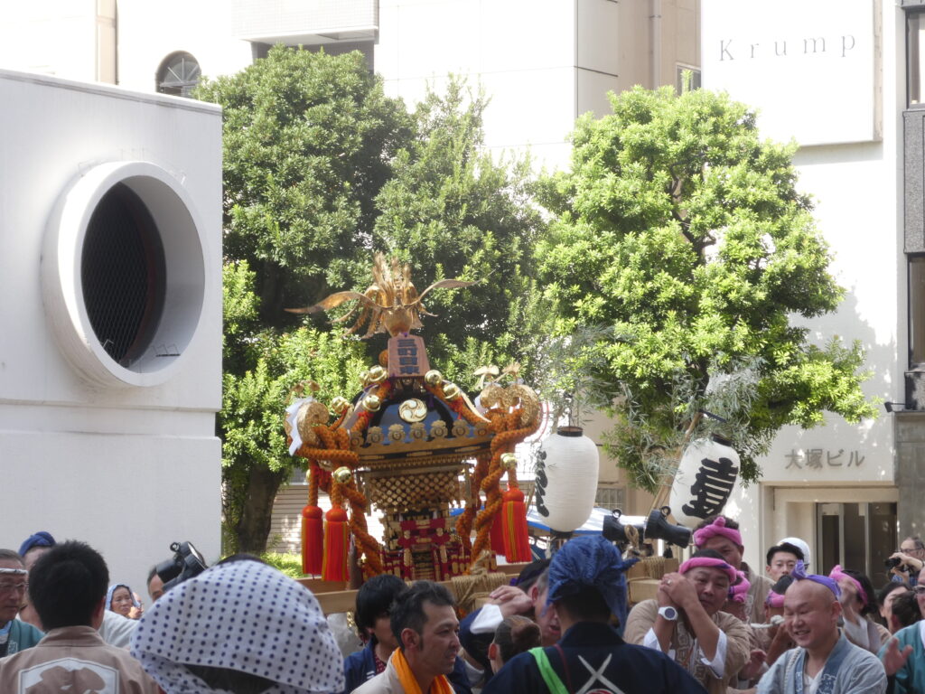 松戸神社　御祭禮　神輿渡御　キテミテマツド広場