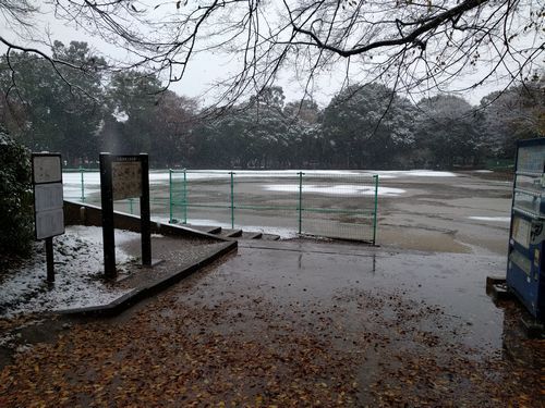 まだ１１月なのに松戸で積雪