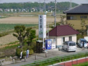 江戸川サイクリング　葛飾橋・市川橋間