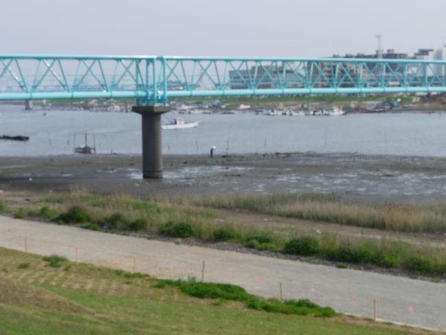 江戸川サイクリング　市川橋・東京湾間