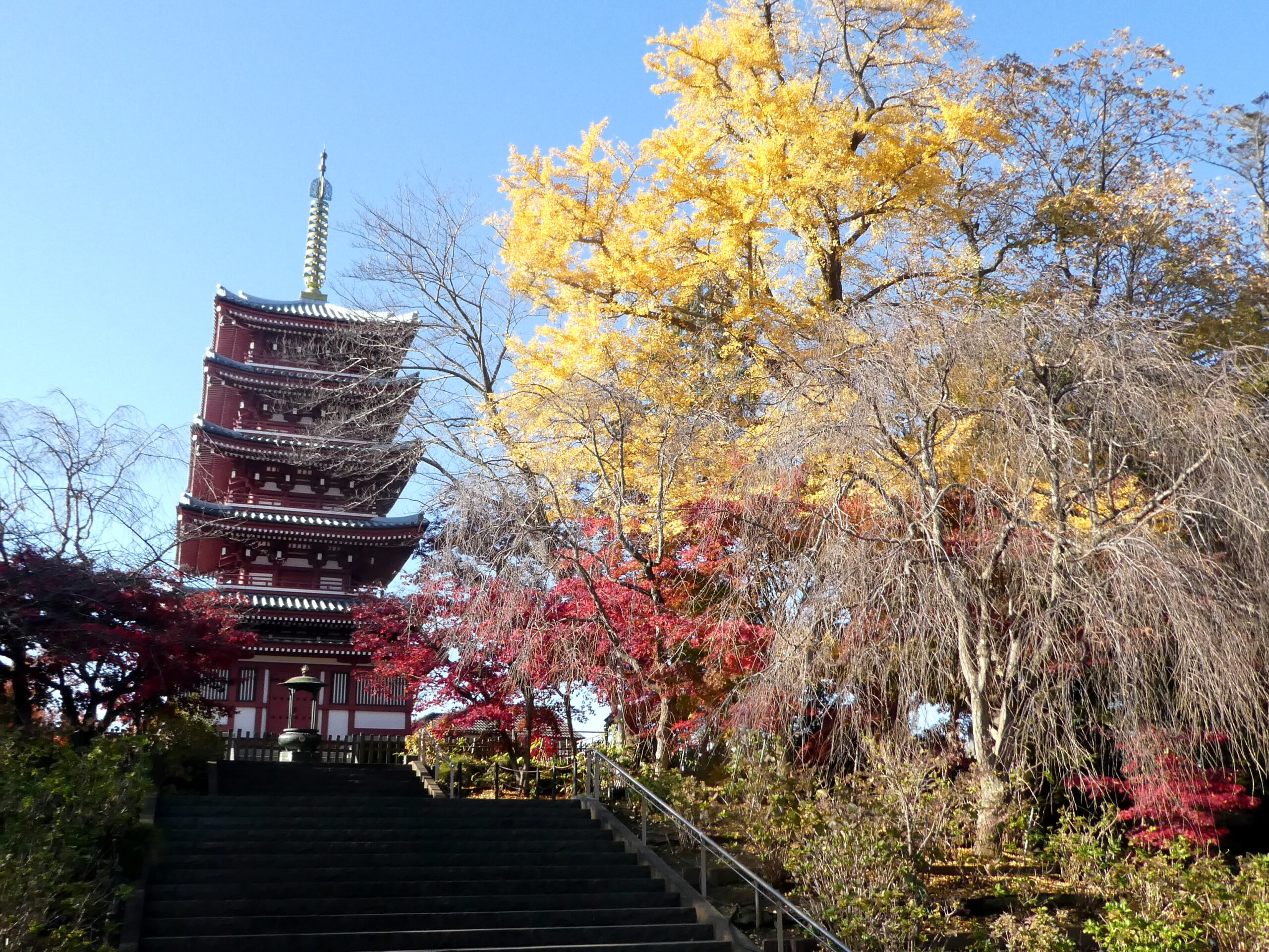 本土寺（千葉県松戸市）の紅葉