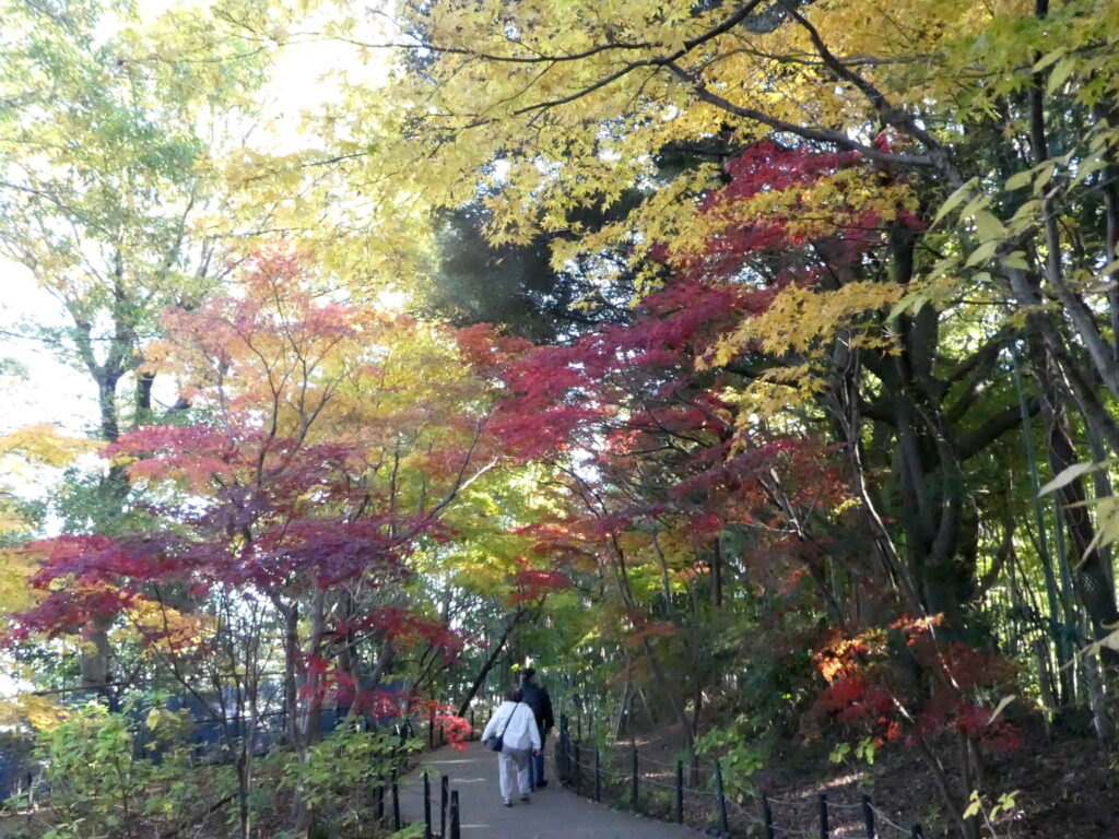 本土寺（千葉県松戸市）の紅葉