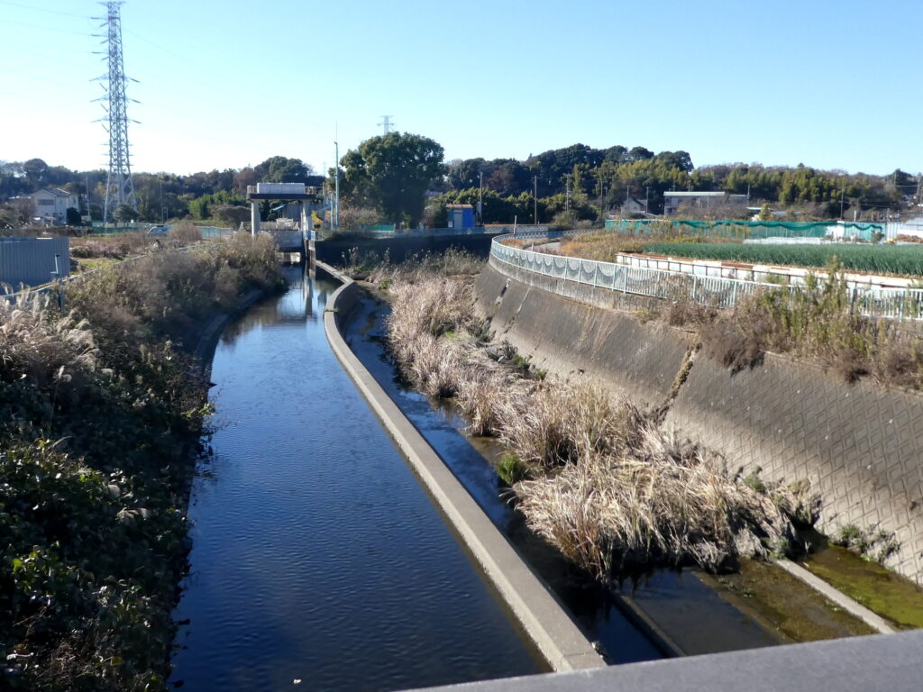 国分川