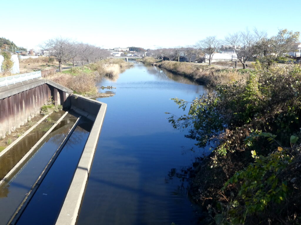 国分川