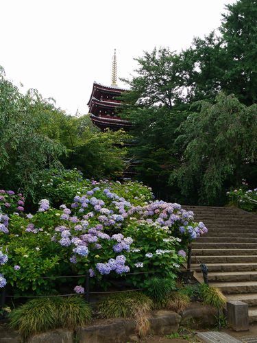 本土寺