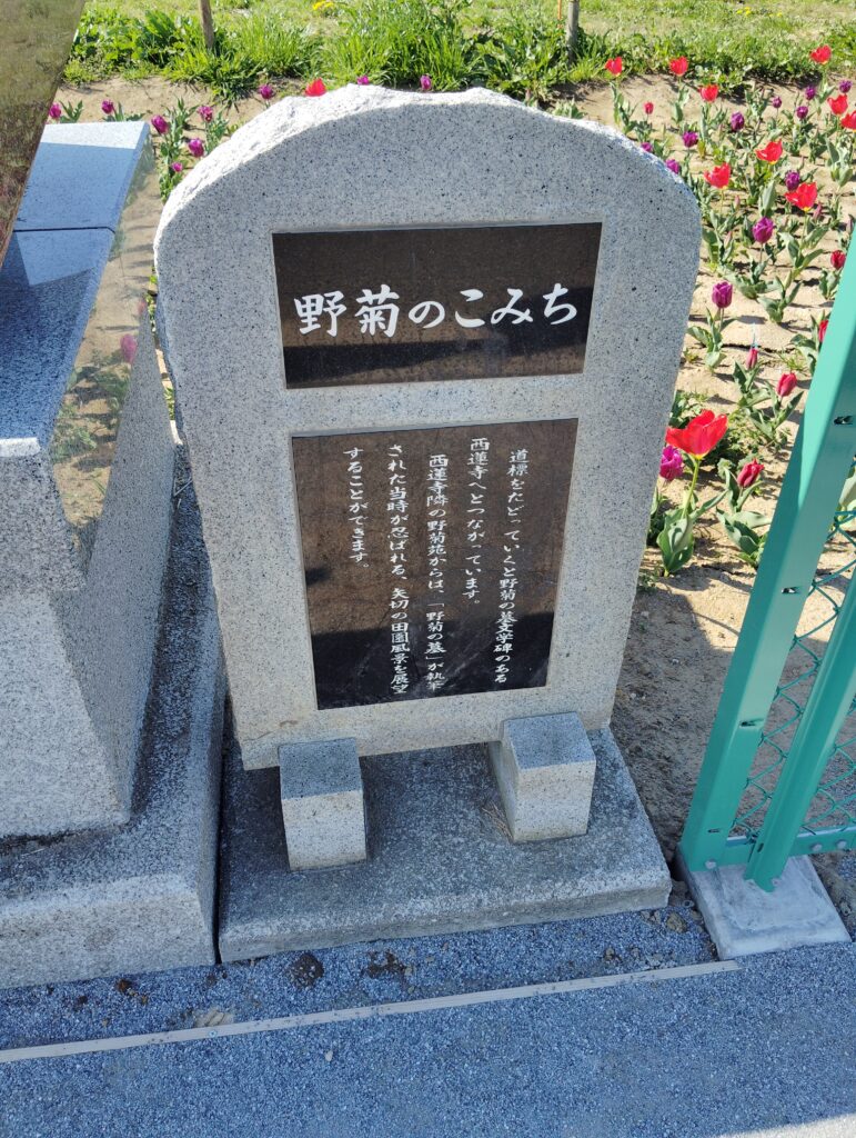 野菊のこみち