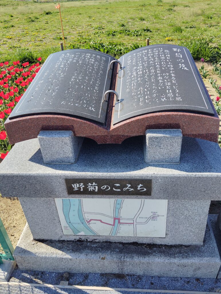 野菊のこみち