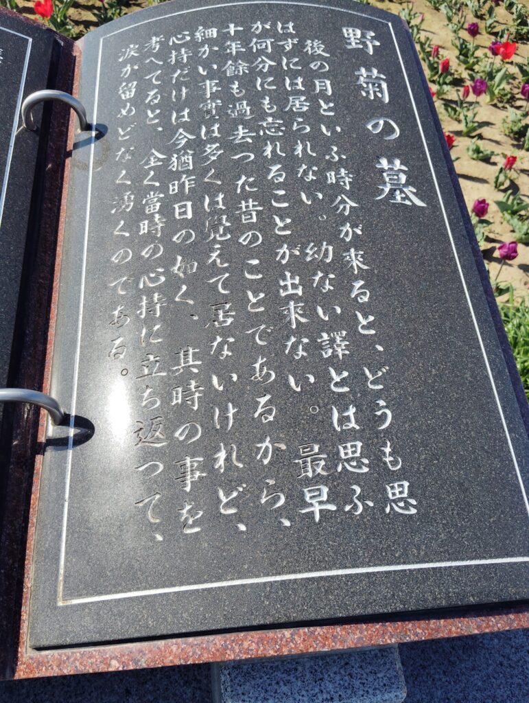 野菊のこみち