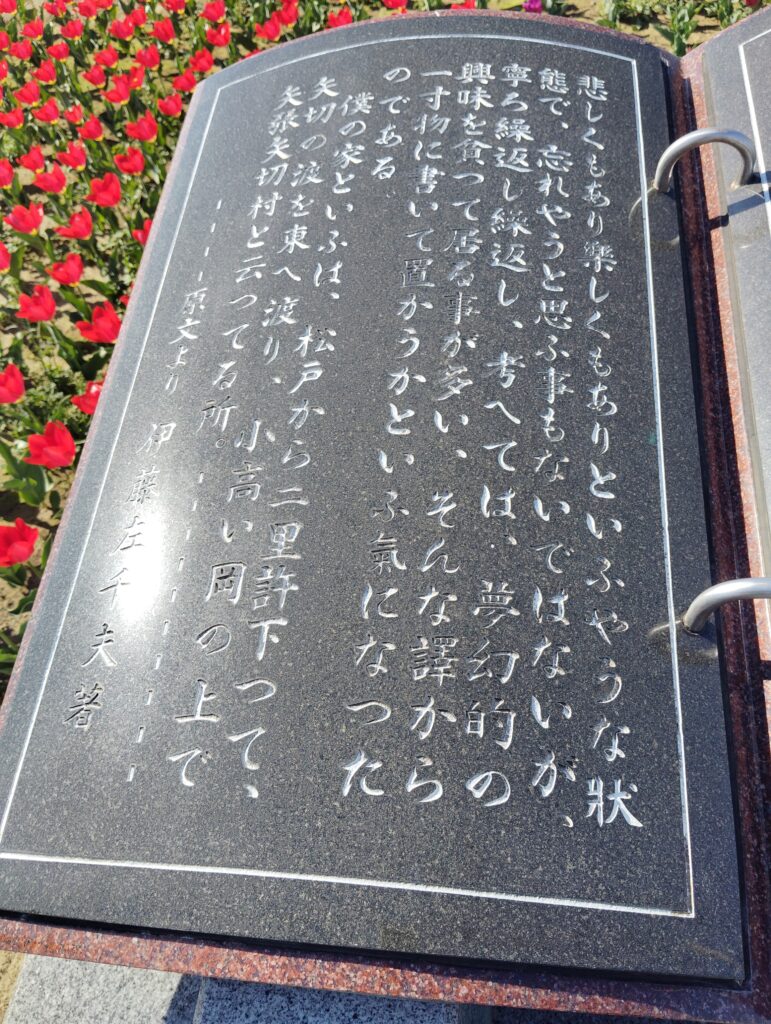 野菊のこみち
