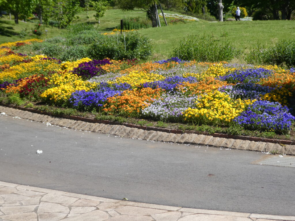 東松戸ゆいの花公園(松戸市東松戸)