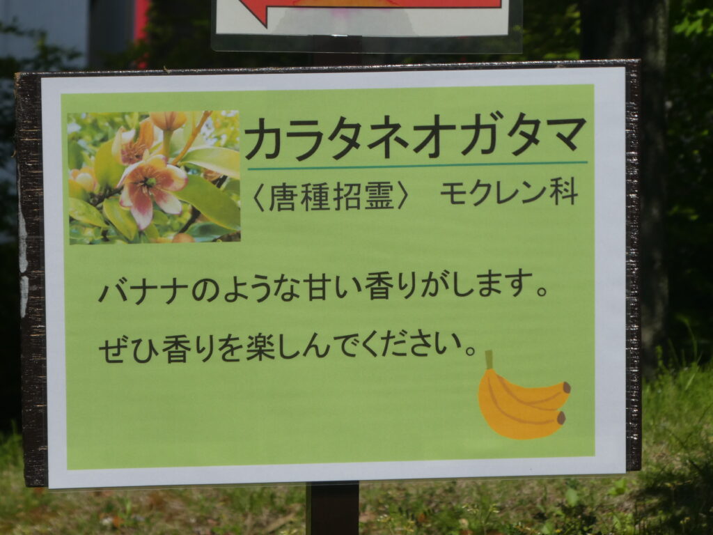 東松戸ゆいの花公園(松戸市東松戸)