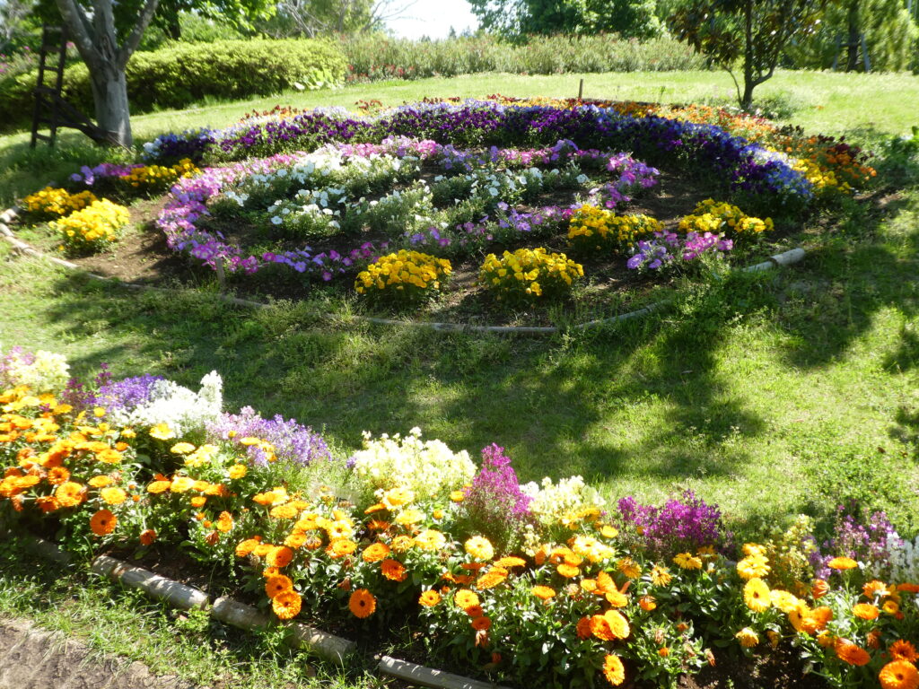 東松戸ゆいの花公園(松戸市東松戸)