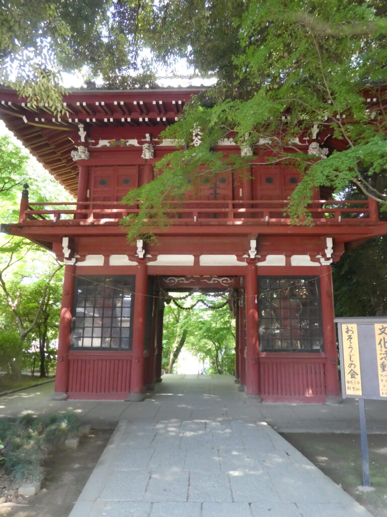 本土寺 あじさい寺