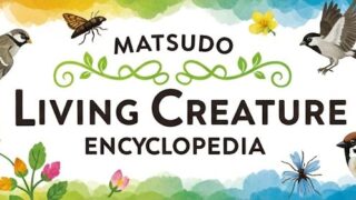 松戸いきもの図鑑
