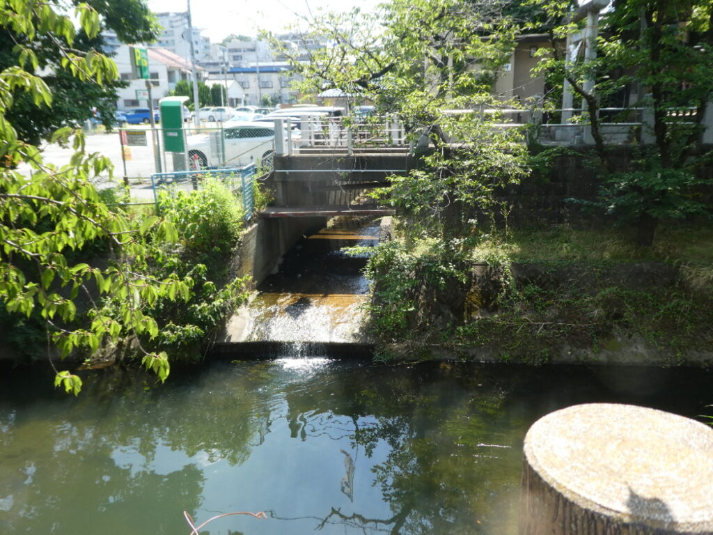 松戸に神田川が流れていることを知っていますか？私は東京の神田川をカヌーで下ったことがあります