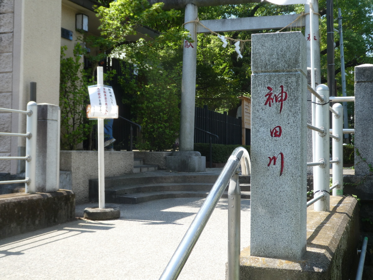 松戸に神田川が流れていることを知っていますか？私は東京の神田川をカヌーで下ったことがあります