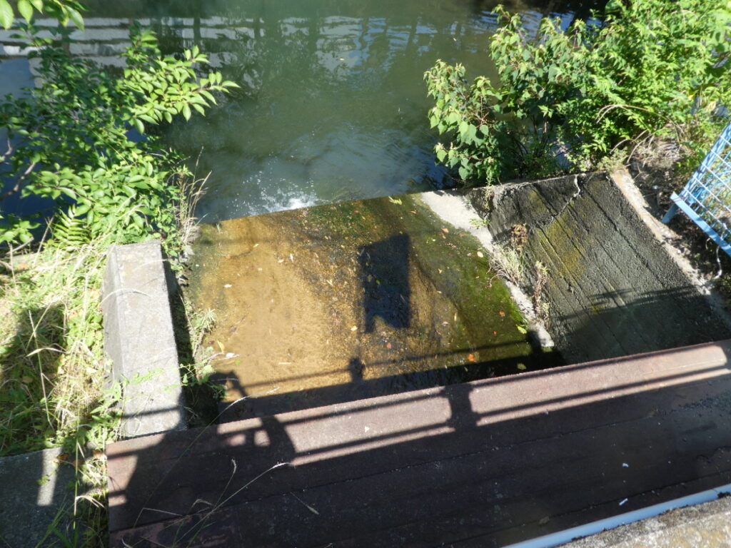 松戸に神田川が流れていることを知っていますか？私は東京の神田川をカヌーで下ったことがあります
