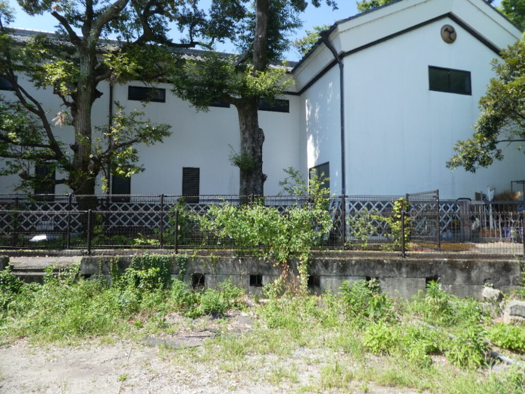 松戸に神田川が流れていることを知っていますか？私は東京の神田川をカヌーで下ったことがあります