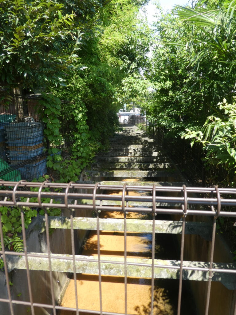松戸に神田川が流れていることを知っていますか？私は東京の神田川をカヌーで下ったことがあります