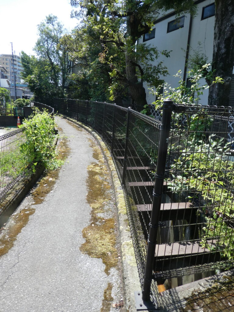 松戸に神田川が流れていることを知っていますか？私は東京の神田川をカヌーで下ったことがあります