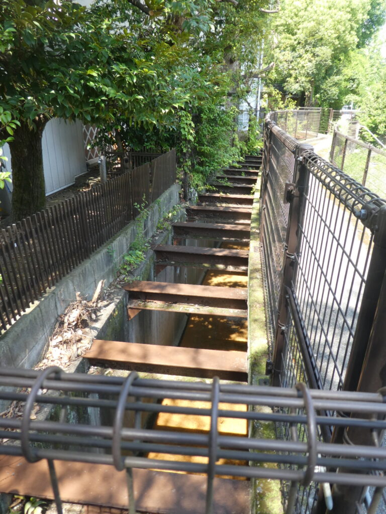 松戸に神田川が流れていることを知っていますか？私は東京の神田川をカヌーで下ったことがあります