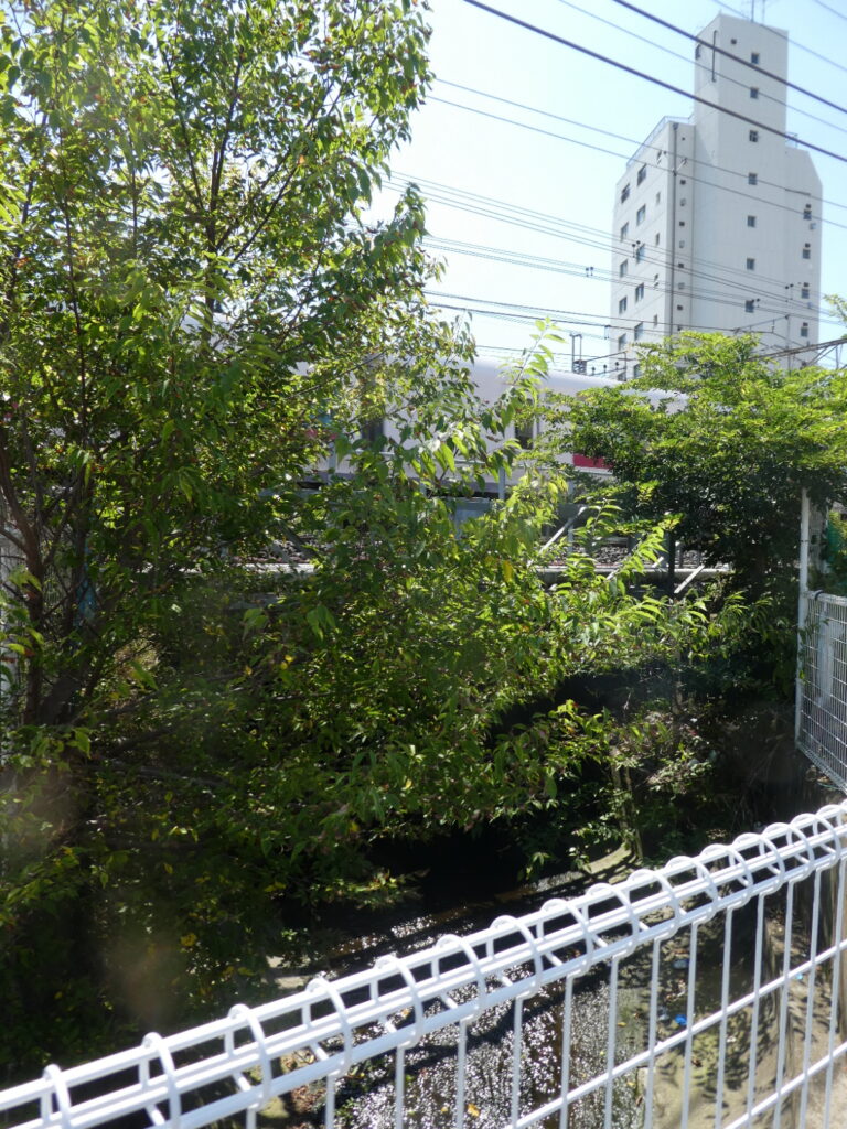 松戸に神田川が流れていることを知っていますか？私は東京の神田川をカヌーで下ったことがあります