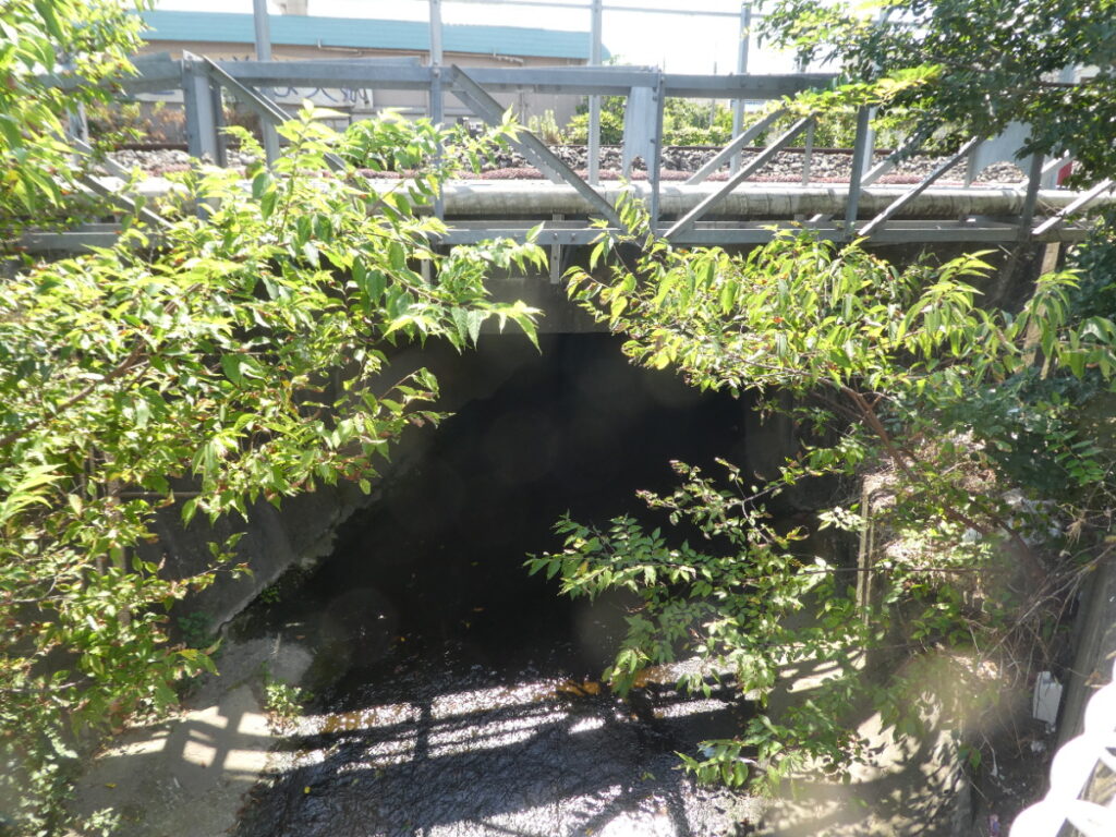 松戸に神田川が流れていることを知っていますか？私は東京の神田川をカヌーで下ったことがあります