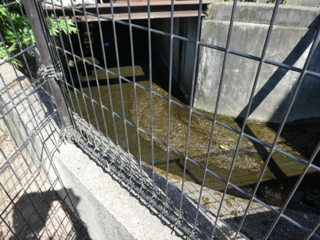 松戸に神田川が流れていることを知っていますか？私は東京の神田川をカヌーで下ったことがあります