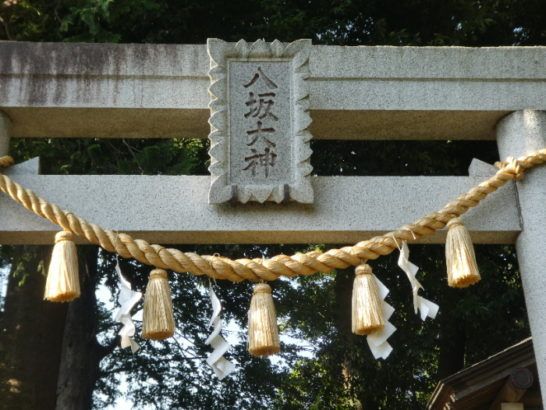佐野八坂神社（松戸市金ケ作）