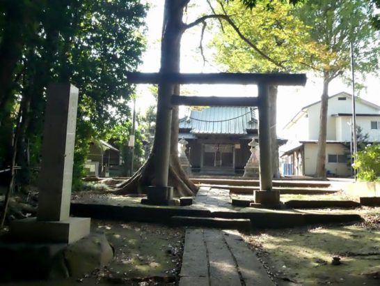 春日神社（松戸市紙敷）